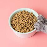 Good: High-Quality Cat Food