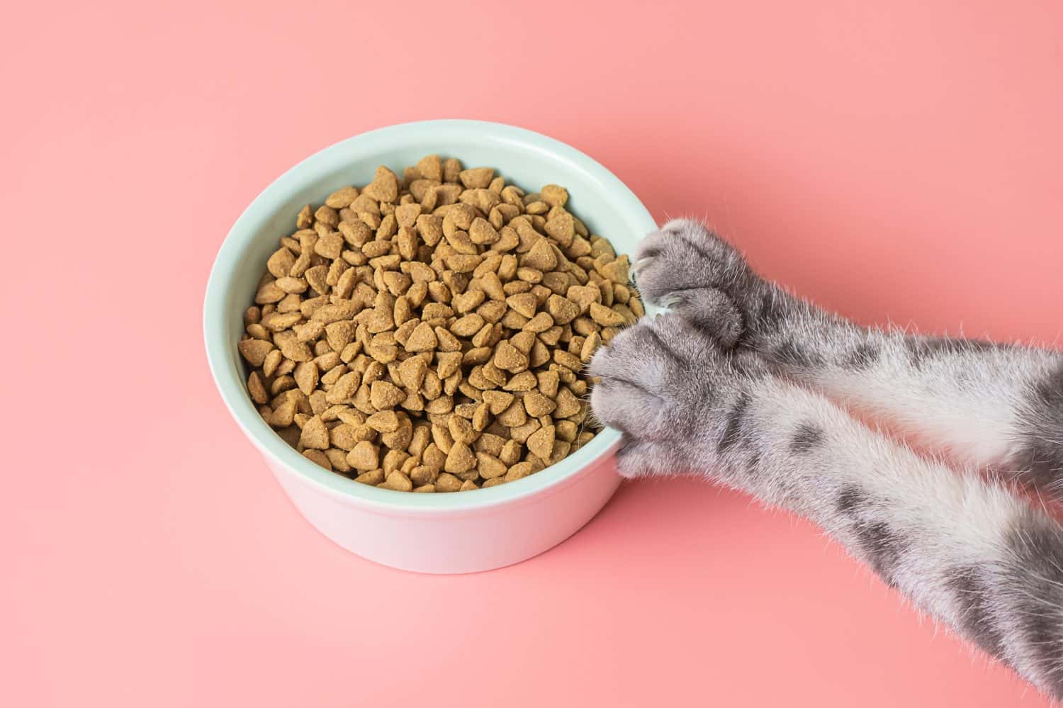 Good: High-Quality Cat Food