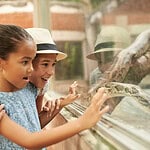 Animals That Don't Make Great Family Pets