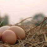 Bad: Raw Eggs
