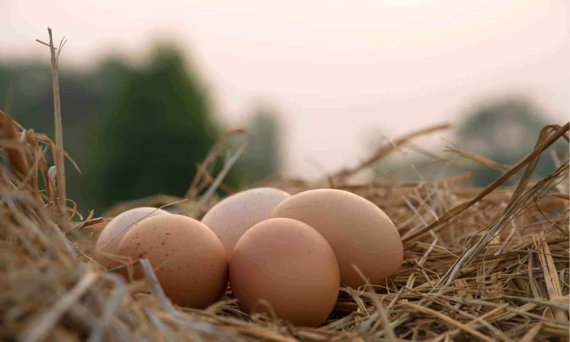 Bad: Raw Eggs