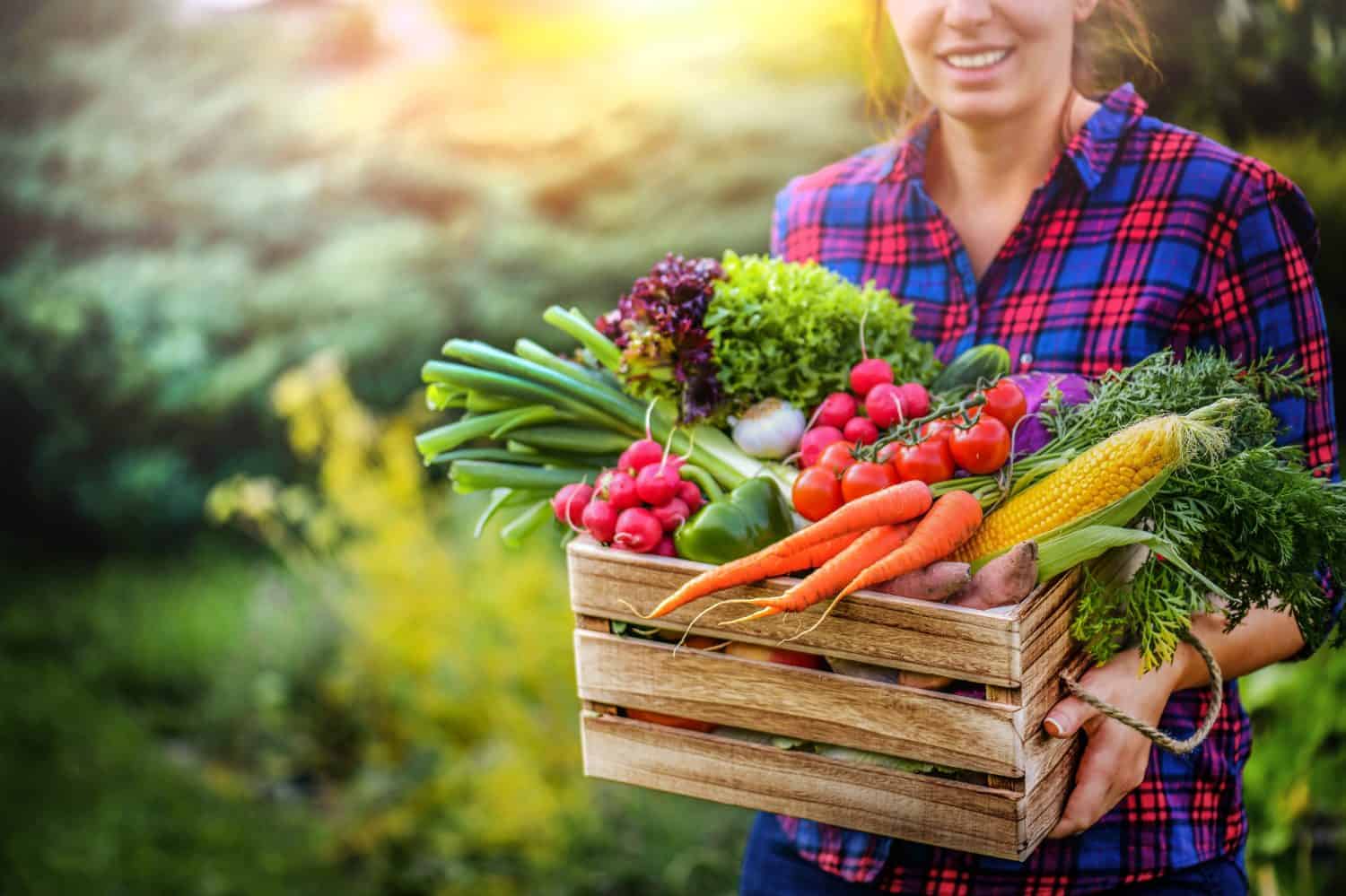 Grow food at home