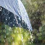 Umbrellas