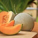 Jensen Farms Cantaloupes and a Deadly Listeria Outbreak
