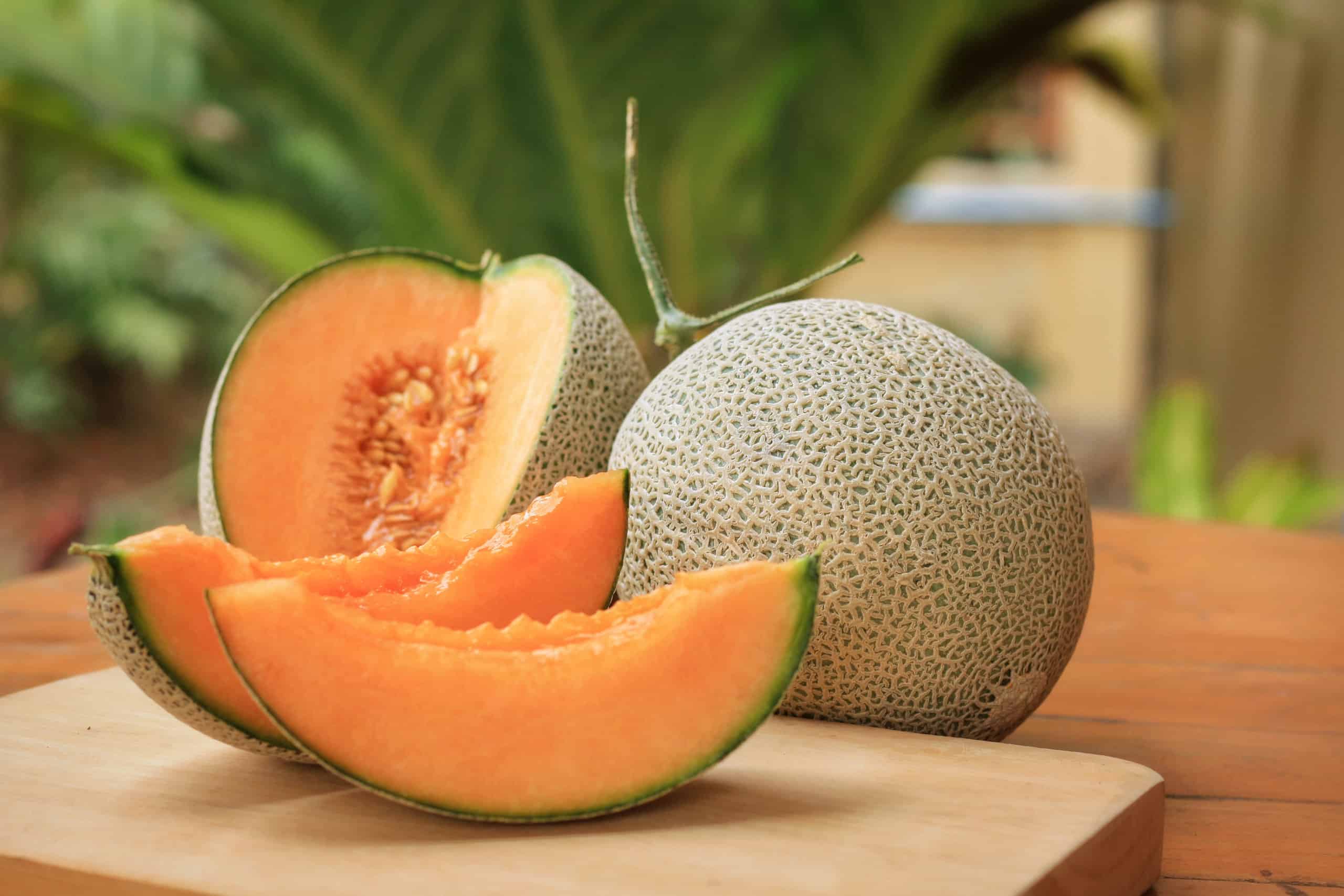 Jensen Farms Cantaloupes and a Deadly Listeria Outbreak