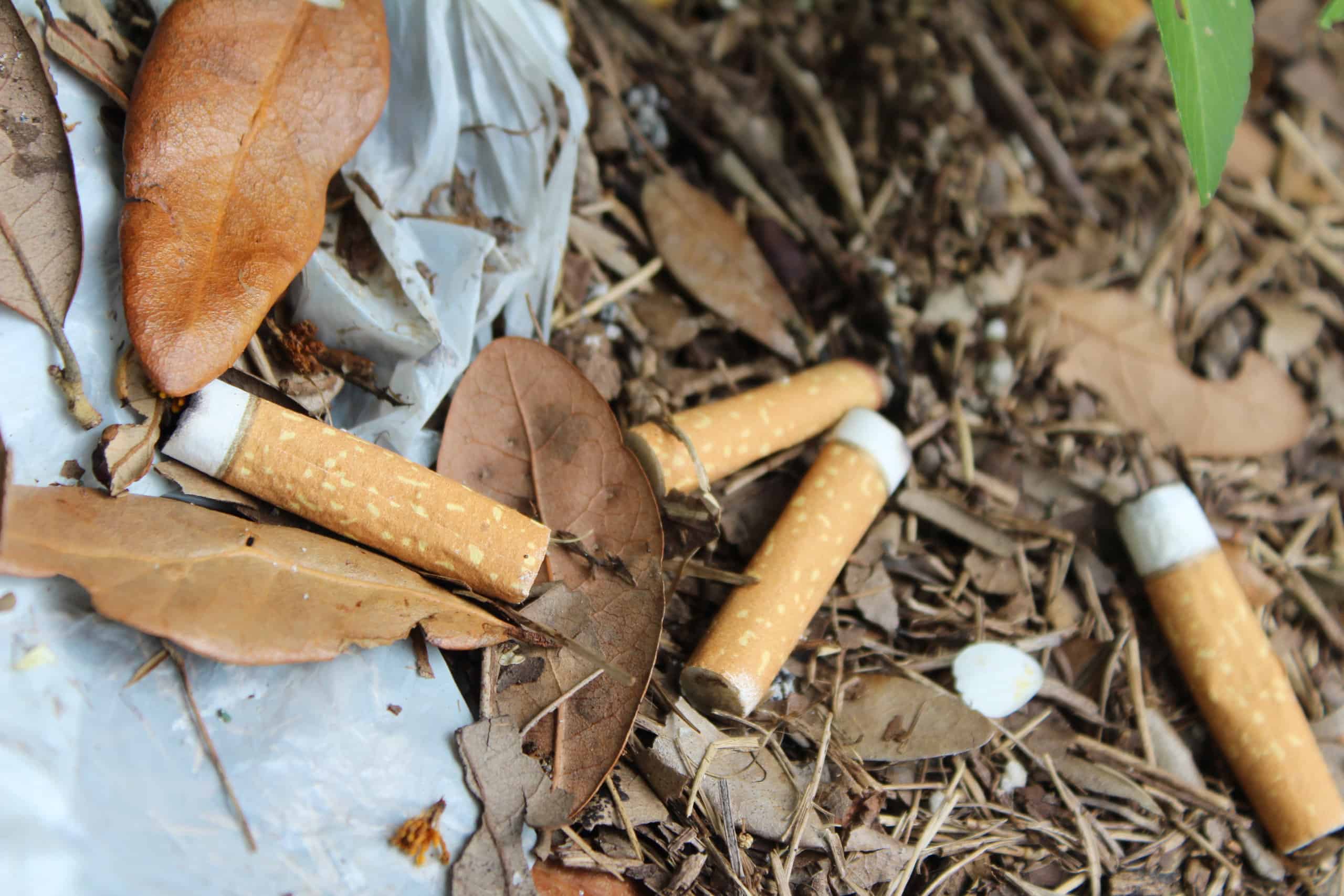 Some High Schools Had Designated Student Smoking Areas