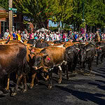 Washington State Fair