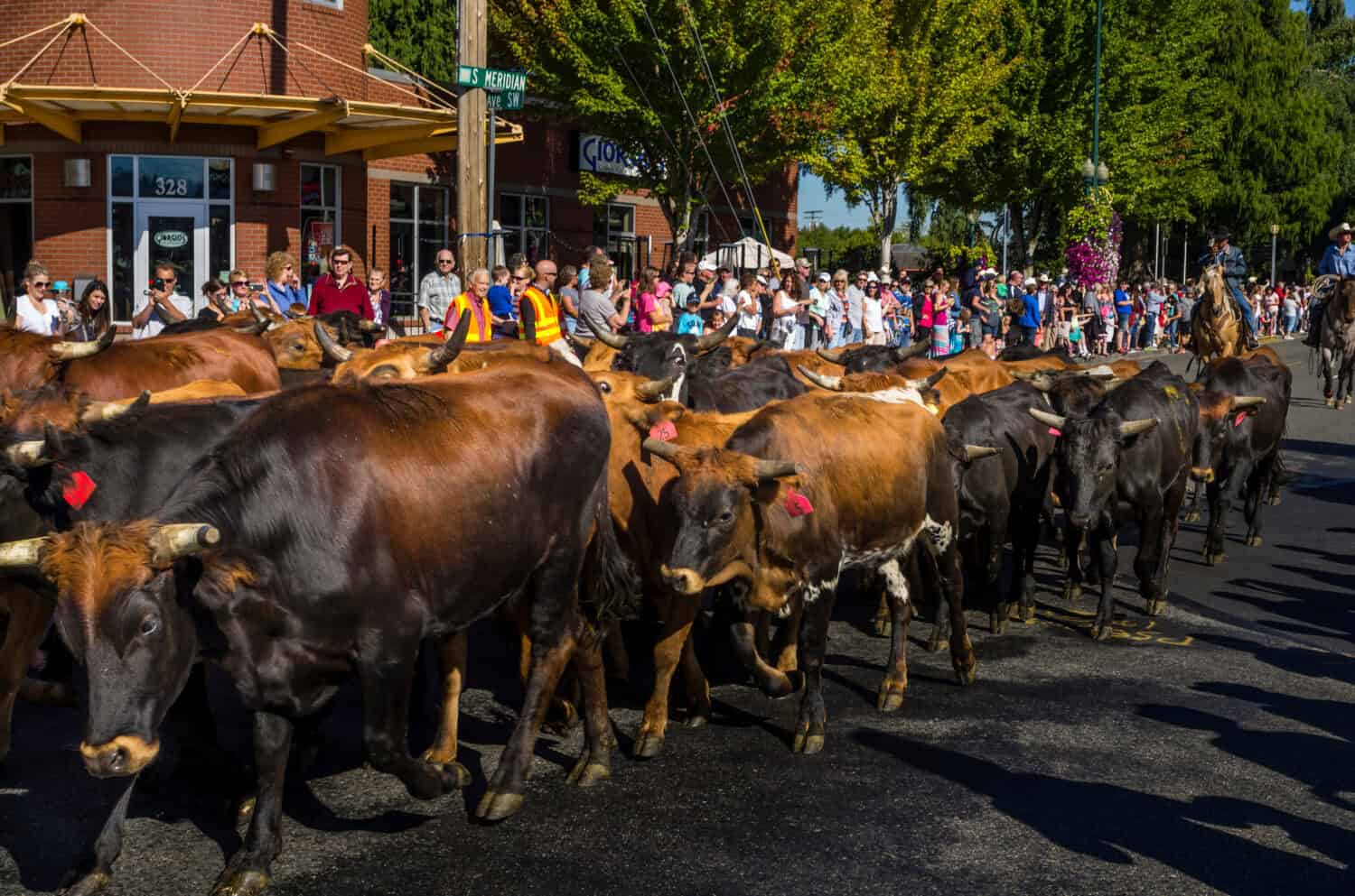 Washington State Fair