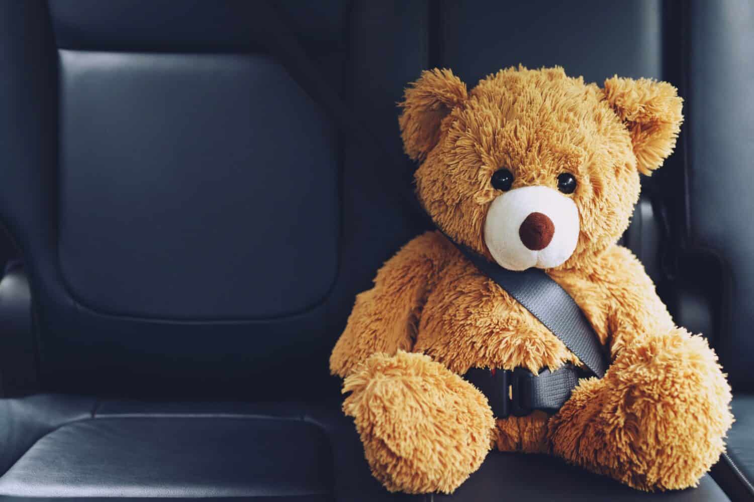 Brown teddy bear wearing car seat belt
