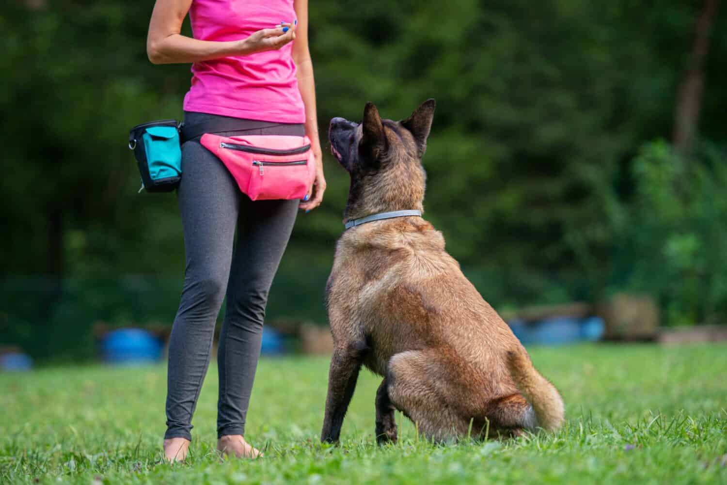 Fanny Packs