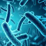 Peanut Corporation of America’s Salmonella Outbreak