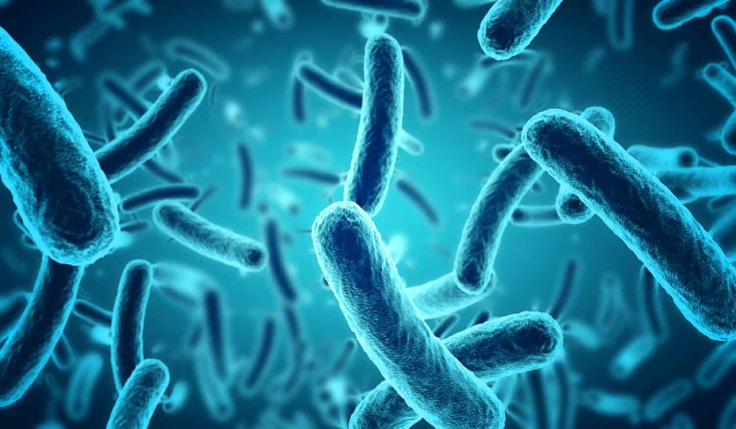 Peanut Corporation of America’s Salmonella Outbreak