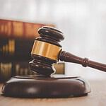 What Were the Three Branches of Government Established by the Constitution?