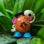 Mr. Potato Head