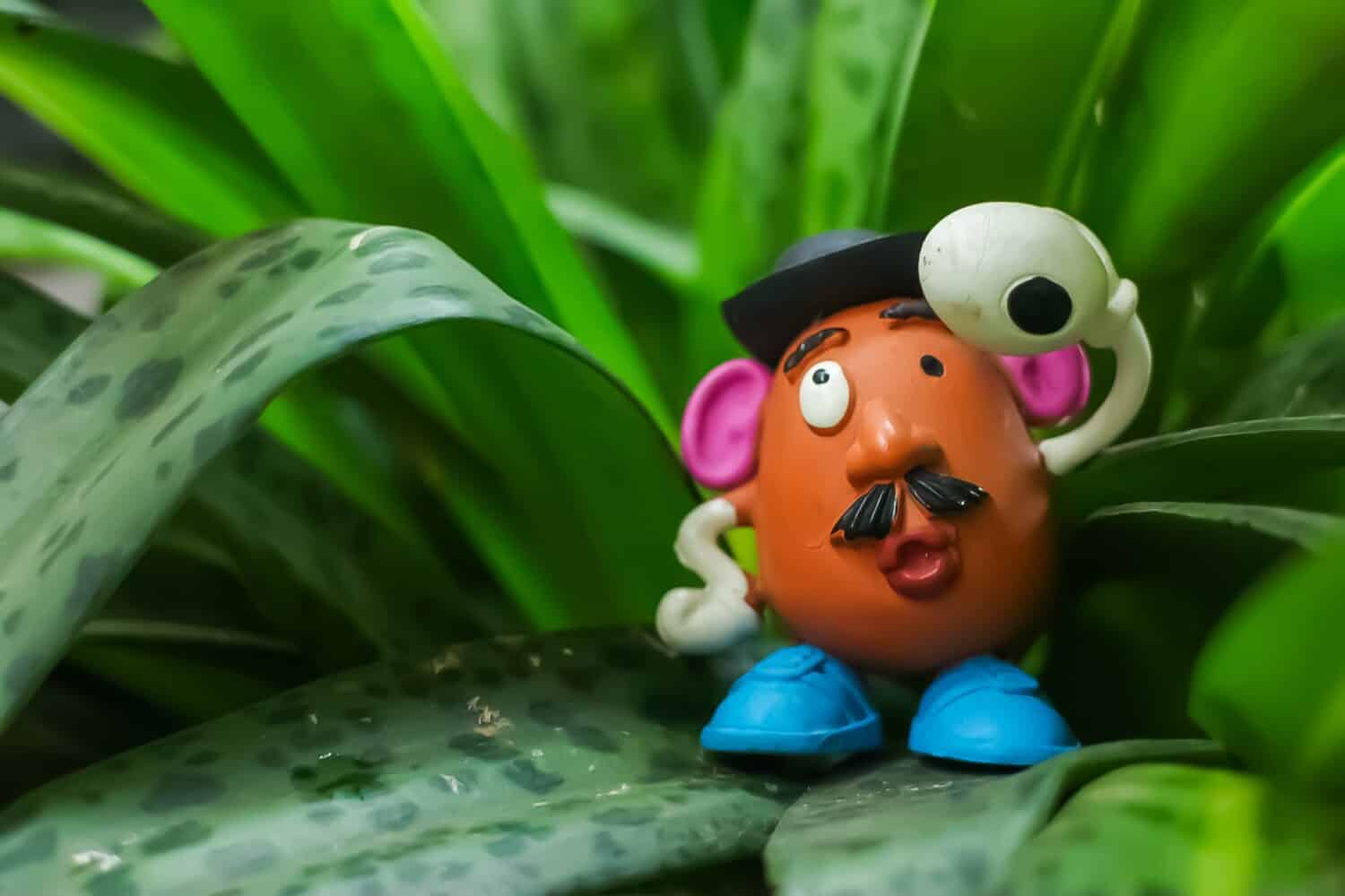 Mr. Potato Head