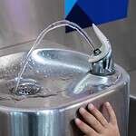 No Water Bottles: The Fountain or Nothing