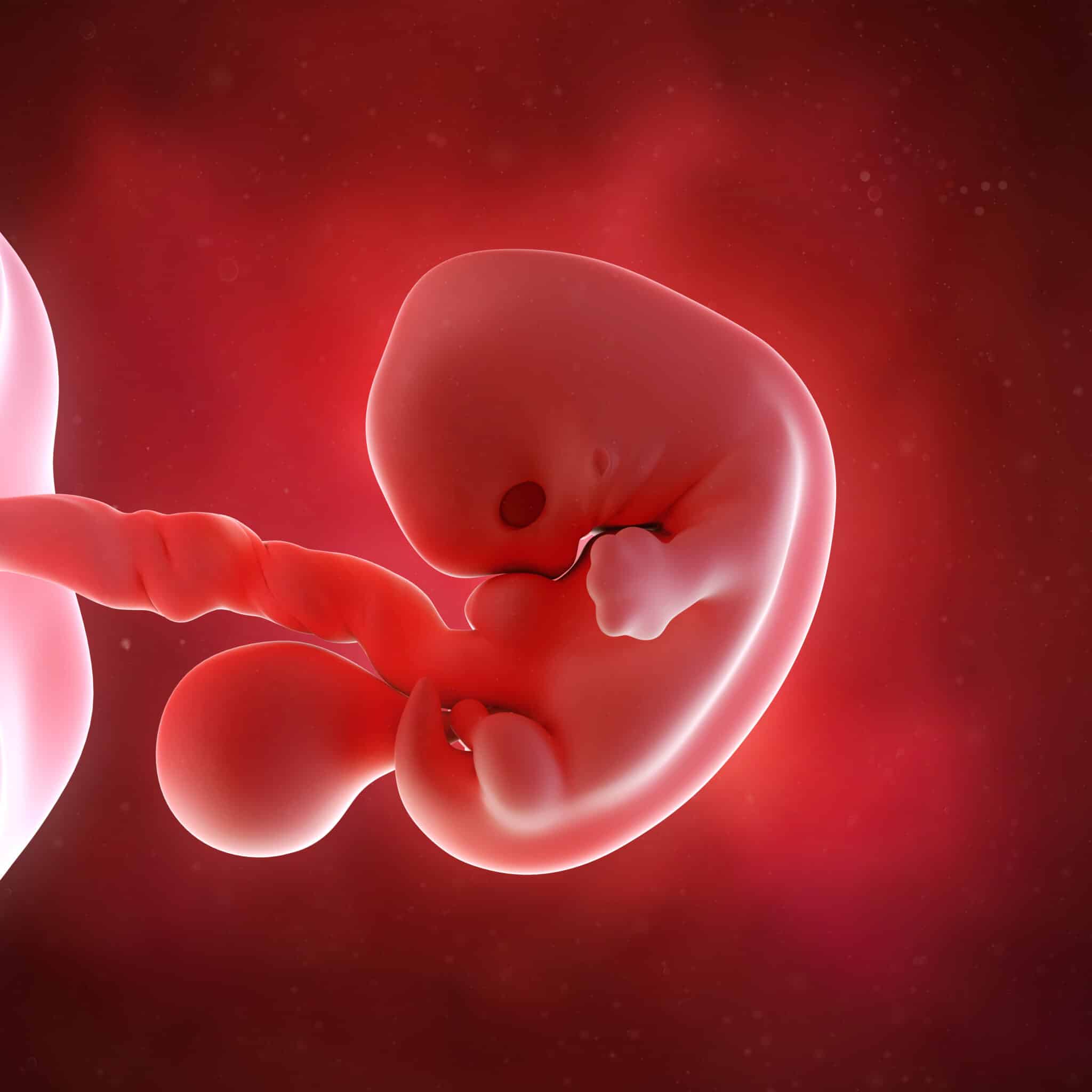 Seven Weeks Pregnant Pregnancy