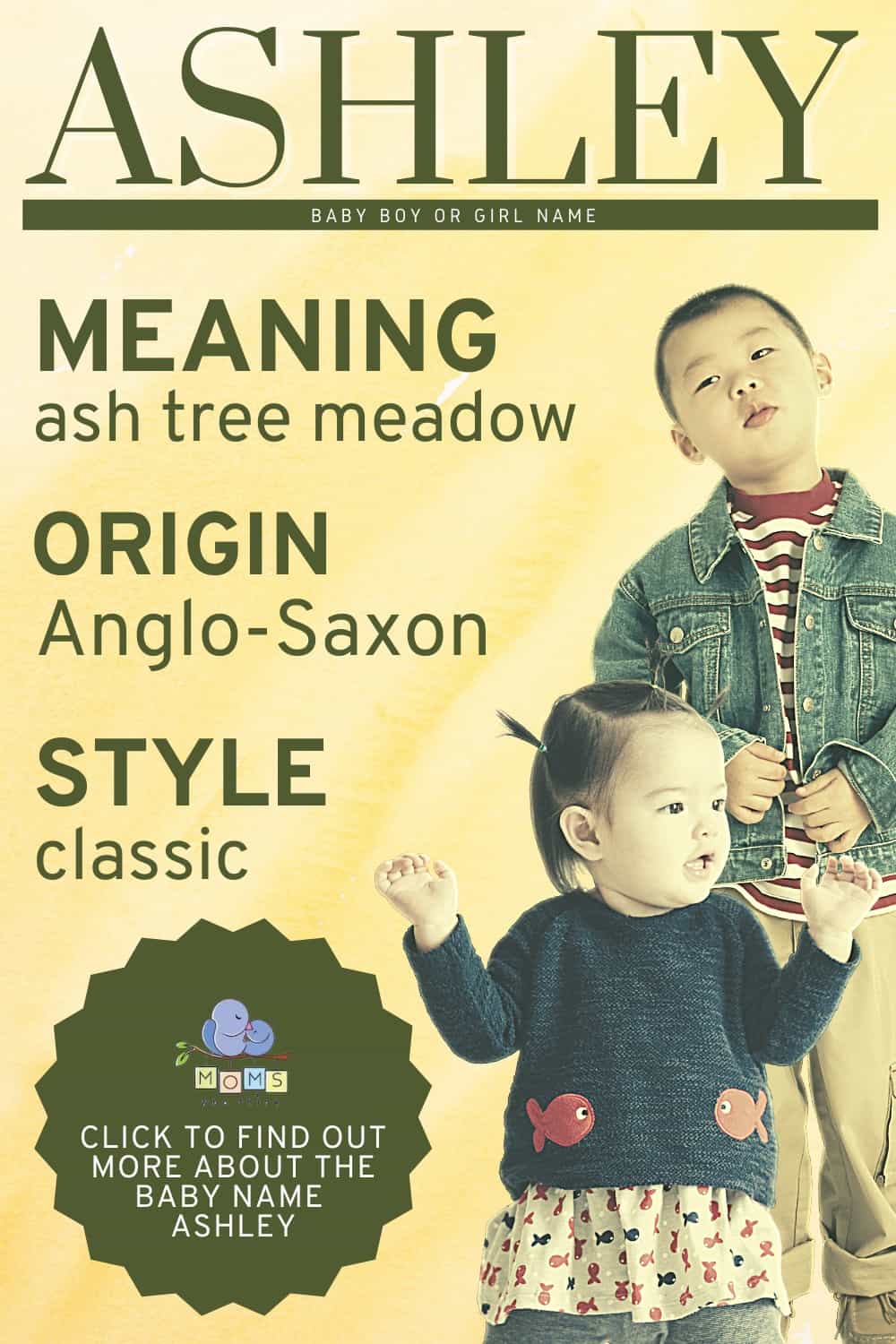 baby name Ashley