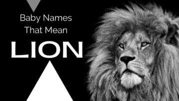 Baby Names That Mean Lion
