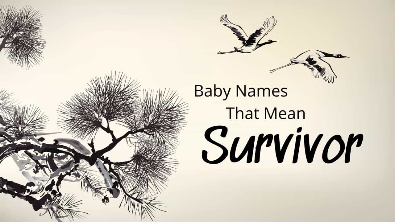 Baby Names That Mean Survivor