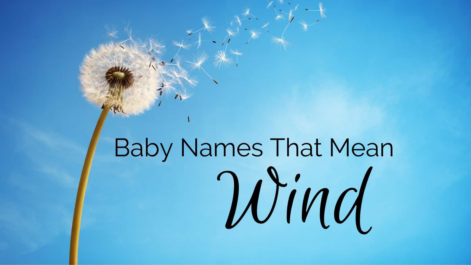 Baby Names That Mean Wind