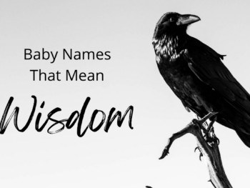 Baby Names That Mean Wisdom