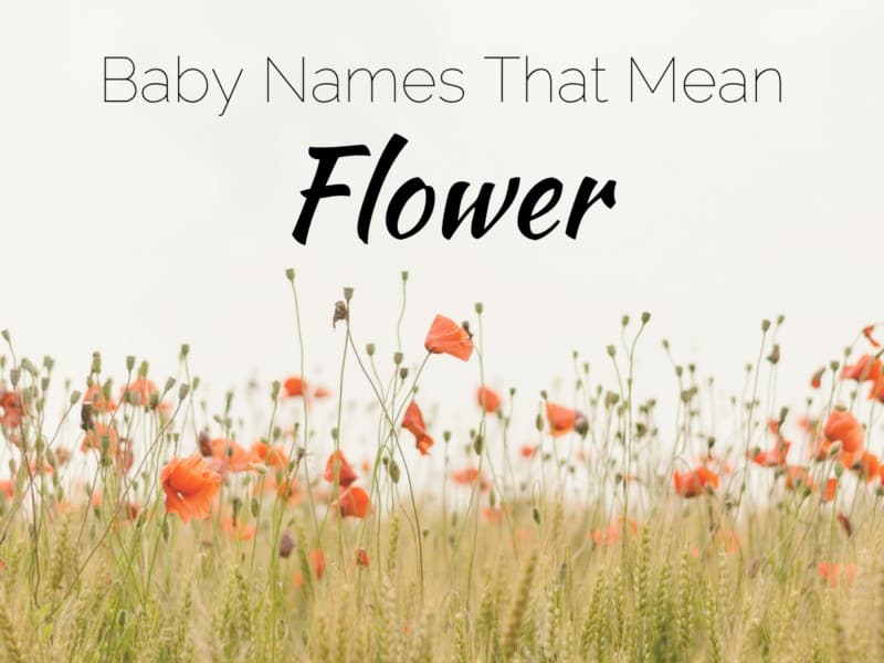 Baby Names That Mean Flower