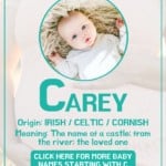 Baby boy name meanings - Carey