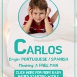 Baby boy name meanings - Carlos