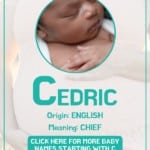 Baby boy name meanings - Cedric