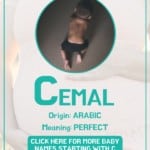 Baby boy name meanings - Cemal