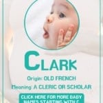 Baby boy name meanings - Clark
