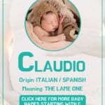 Baby boy name meanings - Claudio