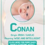 Baby boy name meanings - Conan