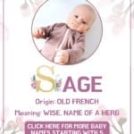Baby girl name meanings - Sage