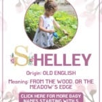 Baby girl name meanings - Shelley