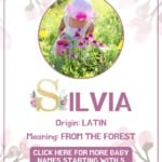 Baby girl name meanings - Silva