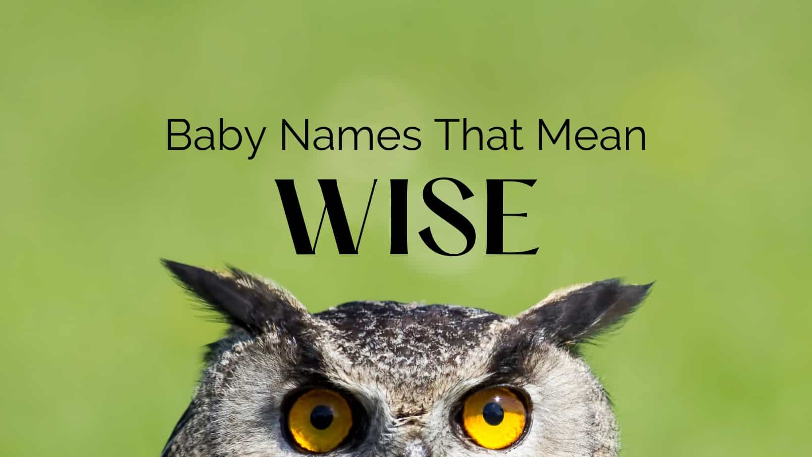 Baby Names That Mean Wise