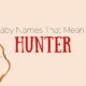 Baby Names that mean hunter