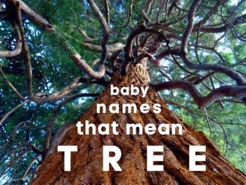 baby names that mean tree
