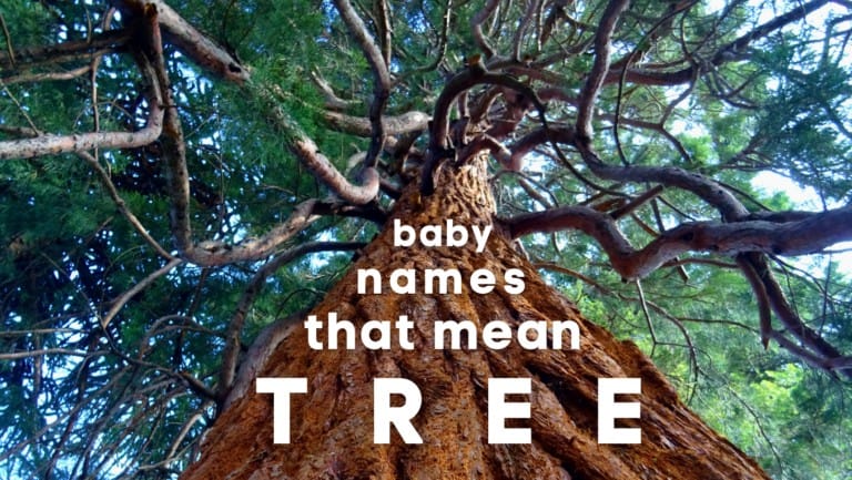 Baby Names That Mean Tree