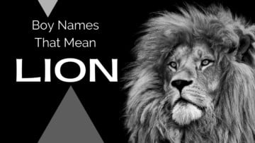 Boy Names That Mean Lion