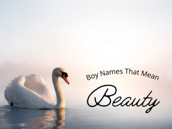Boy Names That Mean Beauty