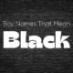 Boy Names That Mean Black