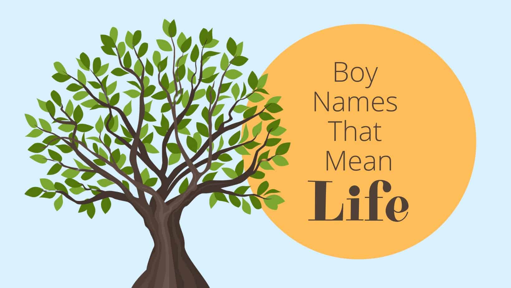 Boy Names That Mean Life