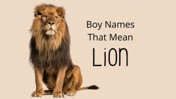 Boy Names That Mean Lion
