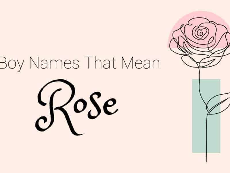 Boy Names That Mean Rose