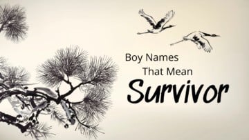 Boy Names That Mean Survivor