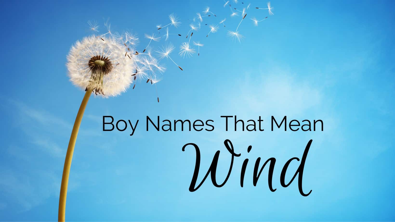 Boy Names That Mean Wind