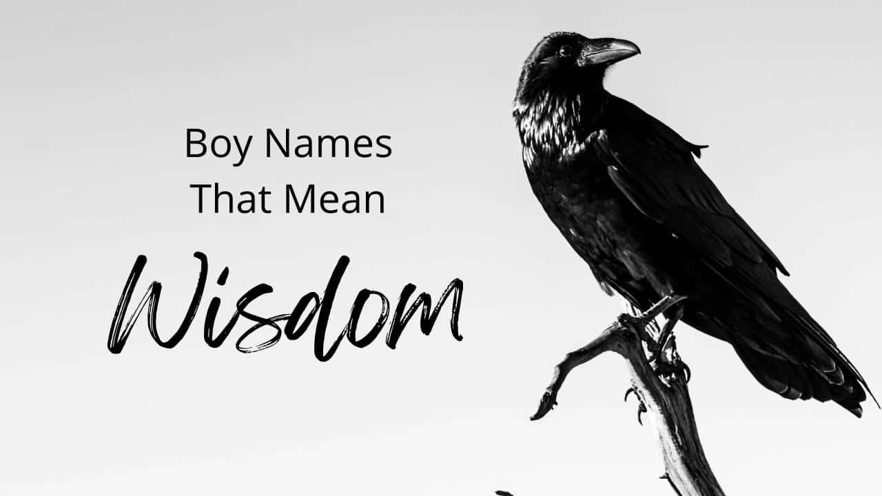 Boy Names That Mean Wisdom